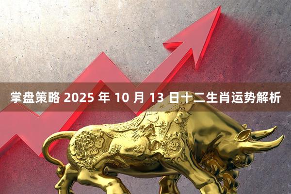 掌盘策略 2025 年 10 月 13 日十二生肖运势解析