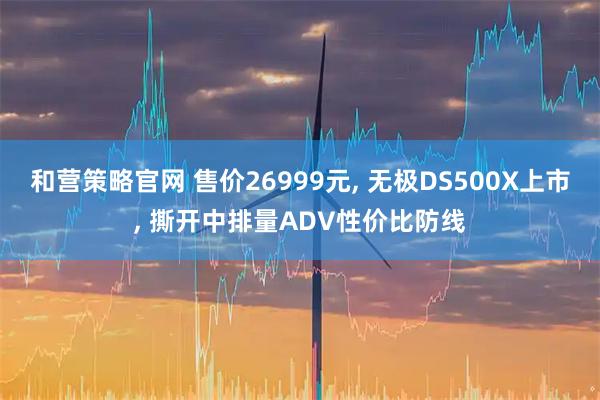 和营策略官网 售价26999元, 无极DS500X上市, 撕开中排量ADV性价比防线